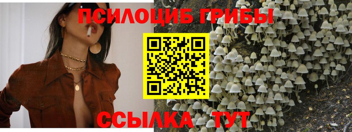 Меф   Конопля  Чусовой  МЕТАМФЕТАМИН  Вход с VPN  ГАШИШ  COCAIN 